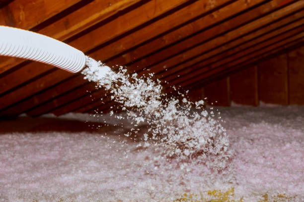 Best Commercial Insulation in Humansville, MO