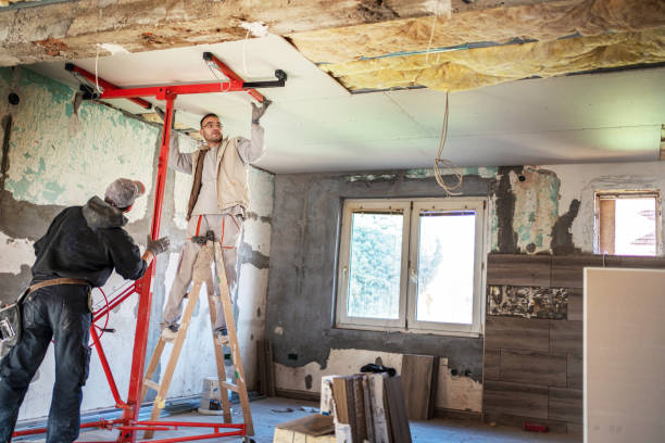 Best Insulation Maintenance and Repair in Humansville, MO