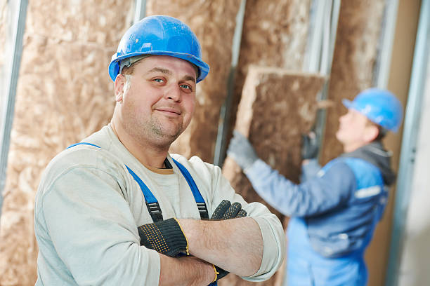 Best DIY Insulation Kits and Guidance in Humansville, MO
