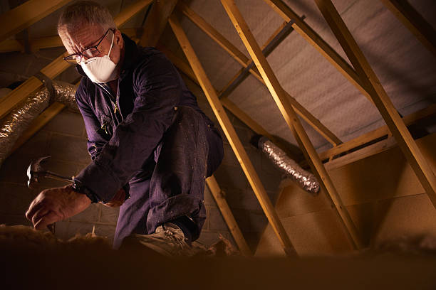 Best Cellulose Insulation in Humansville, MO